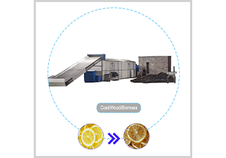 Lemon Peel drying machine